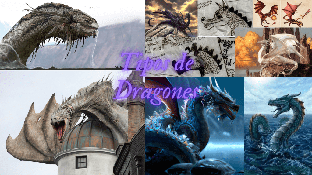 Tipos De Dragones