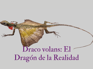 Dragones reales: El draco volans